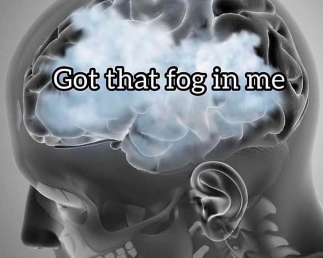 A grayscale medical-style illustration of a human skull with a visible brain, where the brain is depicted as being filled…