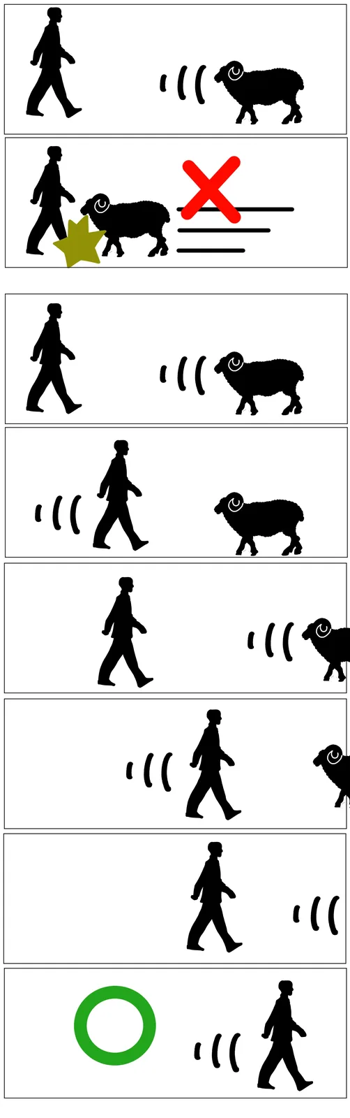 A comic strip shows a person walking toward a sheep, which initially follows them. The sheep then gets a star and is crossed…