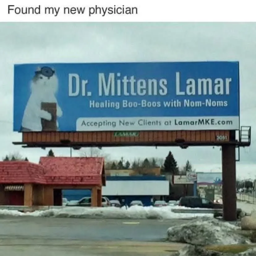 A large outdoor billboard advertises 'Dr. Mittens Lamar', a physician who 'Healing Boo-Boos with Nom-Noms', featuring a…
