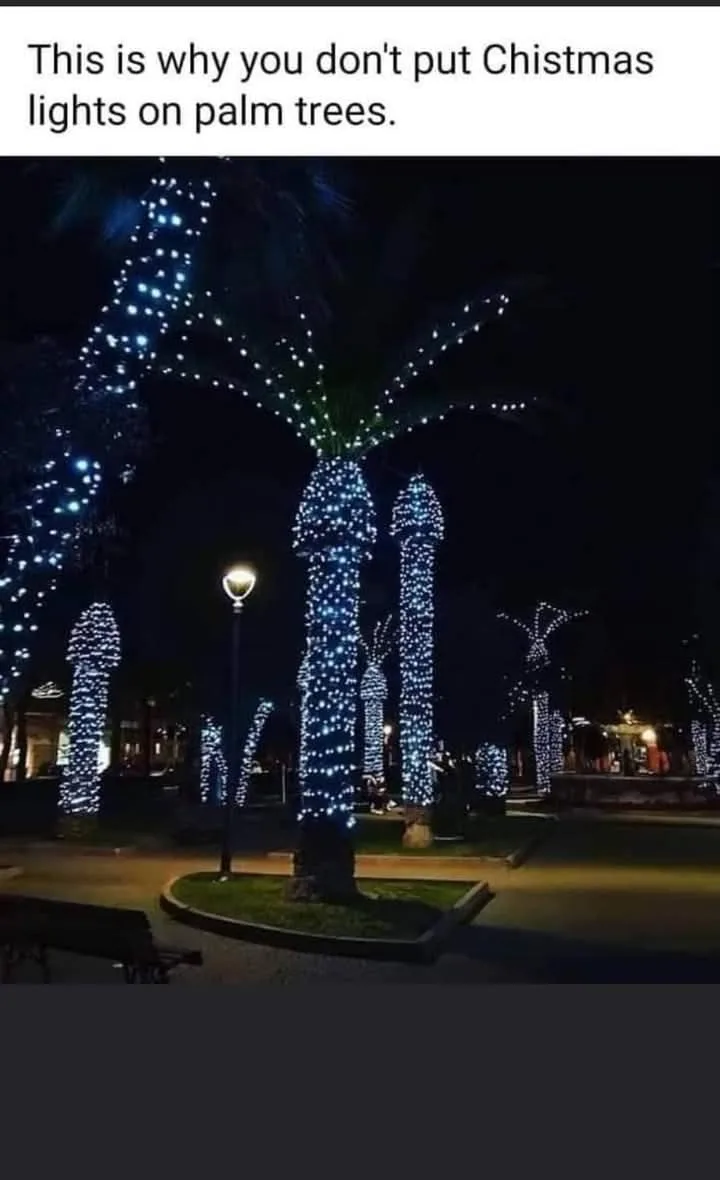 A nighttime photo shows several palm trees decorated with bright blue string lights, creating a festive but visually odd…