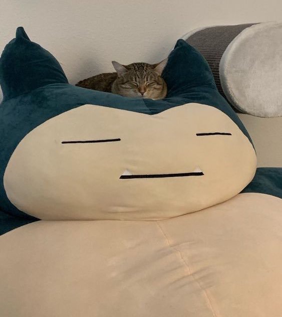 A tabby cat is peacefully sleeping with its eyes closed, nestled inside the head cavity of a large, plush Snorlax pillow…