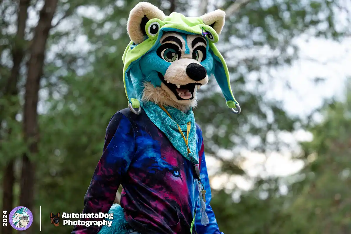 A person in a blue and beige wolf fursuit wears a bright green frog hat with large eyes, standing outdoors in a forest. The…