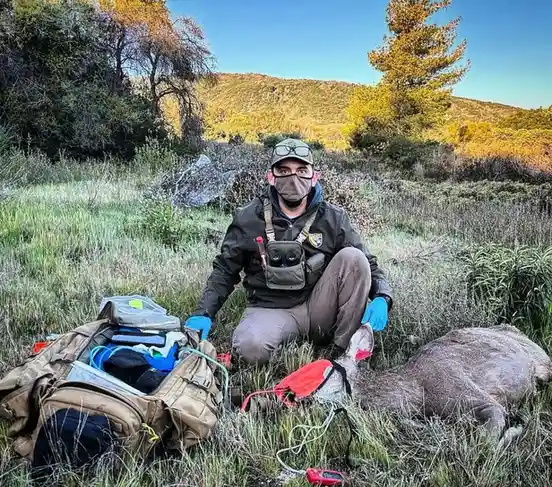 A person wearing a face mask, glasses, and gloves kneels in a grassy field next to a backpack and equipment, gently holding…