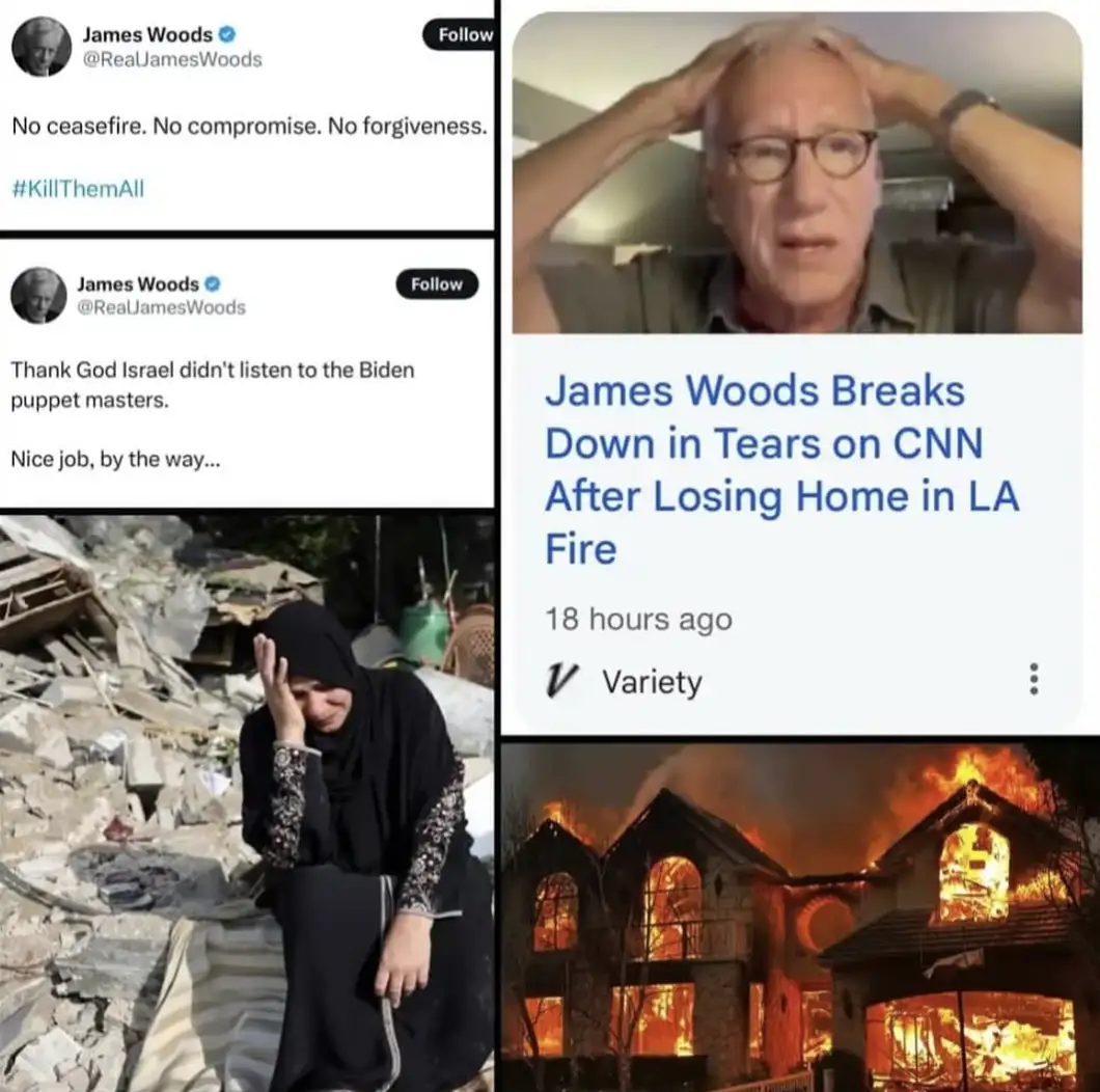 A collage shows James Woods' Twitter posts with aggressive political statements, a photo of him looking distressed with…