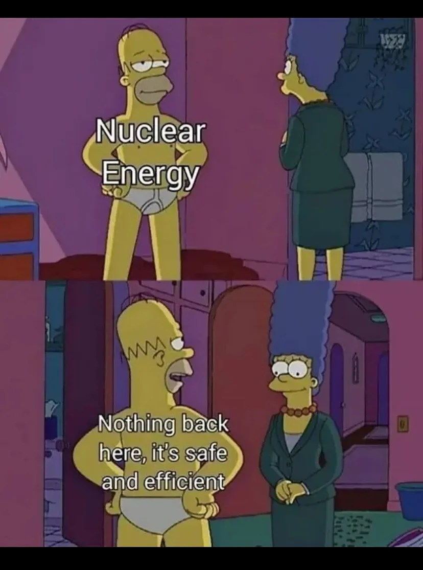 The image is a two-panel meme from The Simpsons. In the top panel, Homer Simpson, shirtless and wearing only underwear…