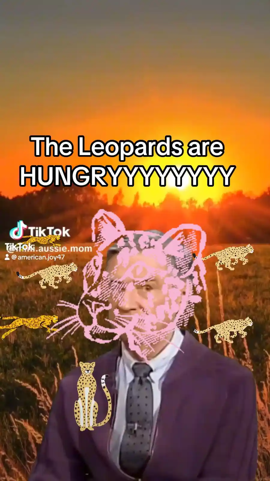 A man in a suit and tie is superimposed over a sunset field, with a large pink leopard head graphic over his face and…