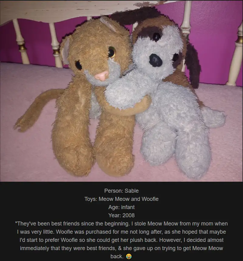 Two stuffed animals, a brown cat and a grey dog, are hugging each other on a pink carpet under a bed. Text overlaid on the…