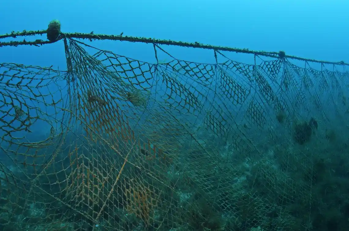 An underwater photograph shows a large, weathered fishing net draped over a submerged structure, covered in marine growth…