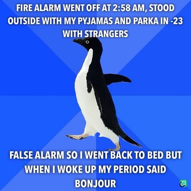 A penguin stands against a blue background with white text overlaid in two sections. The top text reads 'FIRE ALARM WENT OFF…