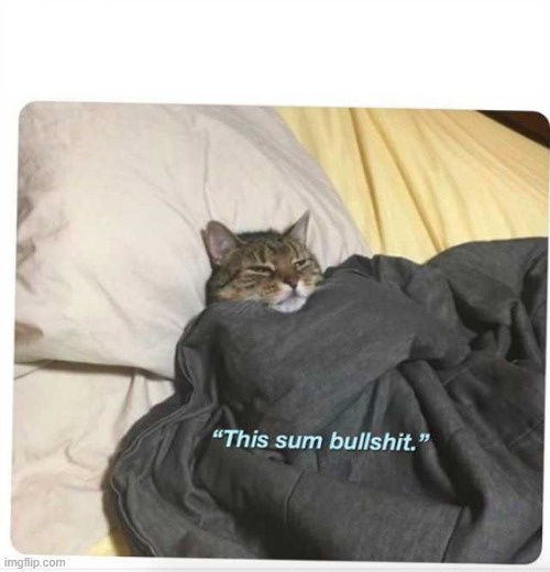 A tabby cat is lying in bed, half-covered by a dark gray blanket, with a pillow behind its head. The cat has a sleepy…