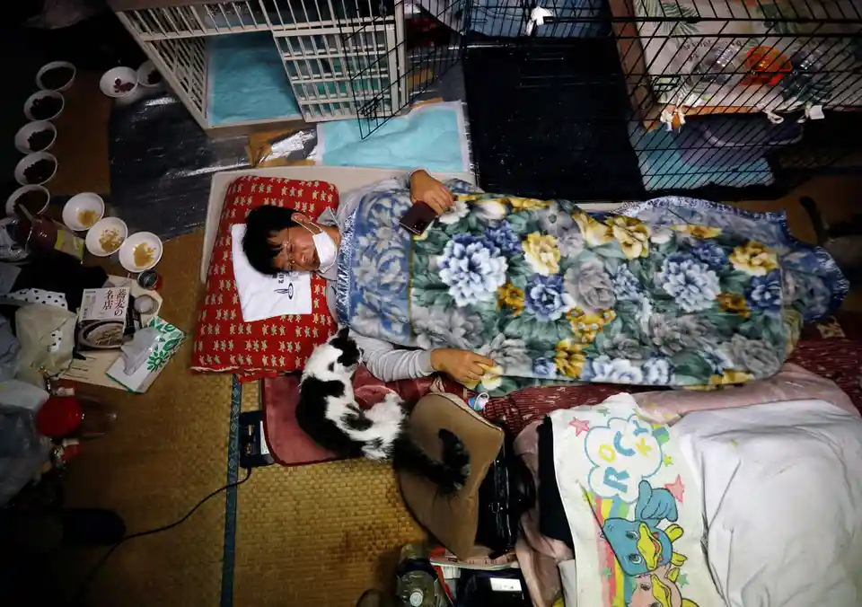 An overhead photo shows a person sleeping on a tatami mat, covered by a floral blanket, with a cat nearby and multiple pet…