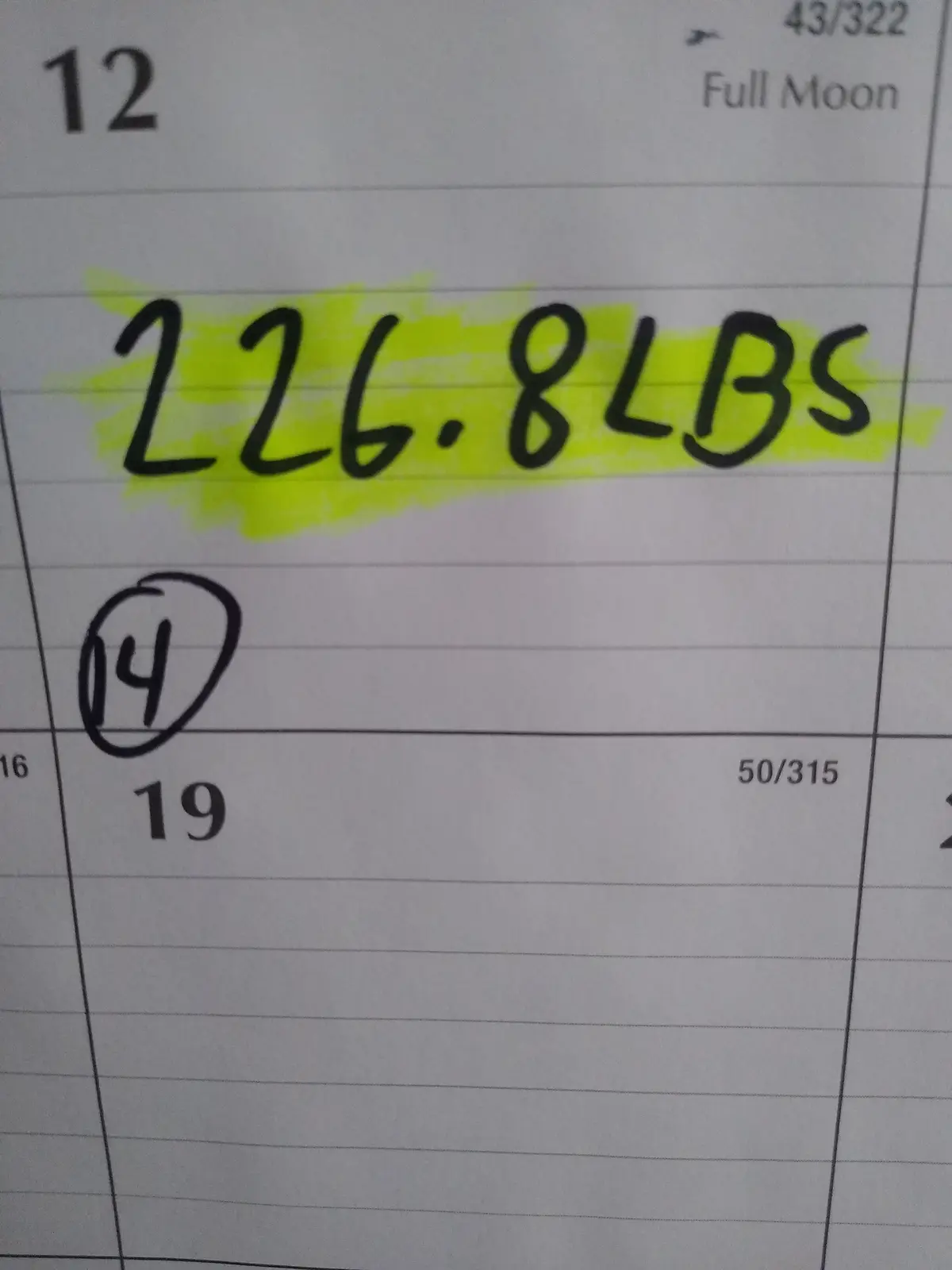 Day 14 of My Daily Weigh-In and Calorie Tracking Journey