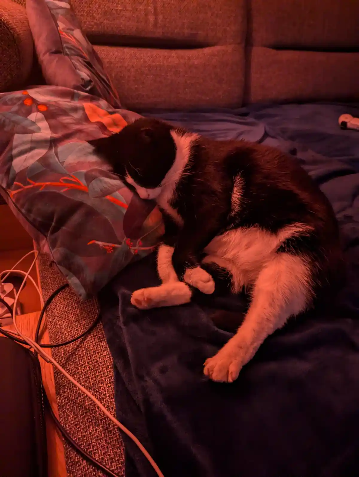 A black and white cat is curled up sleeping on a couch, nestled against a patterned pillow and a dark blanket, under warm…