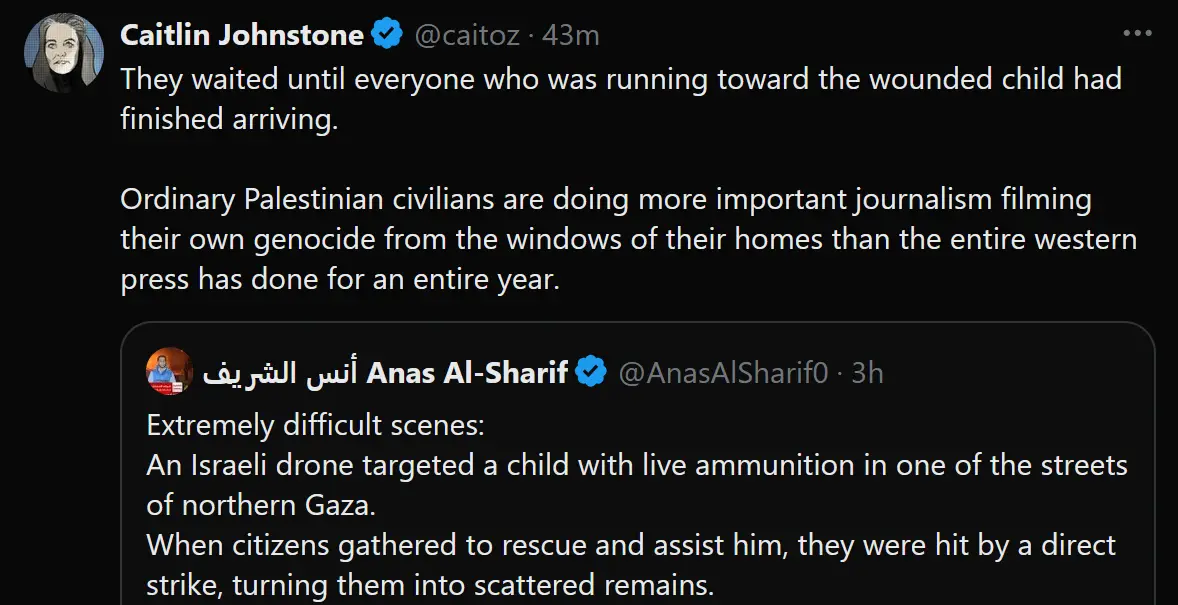 A screenshot of a Twitter thread showing a tweet from Caitlin Johnstone criticizing Western media, followed by a tweet from…