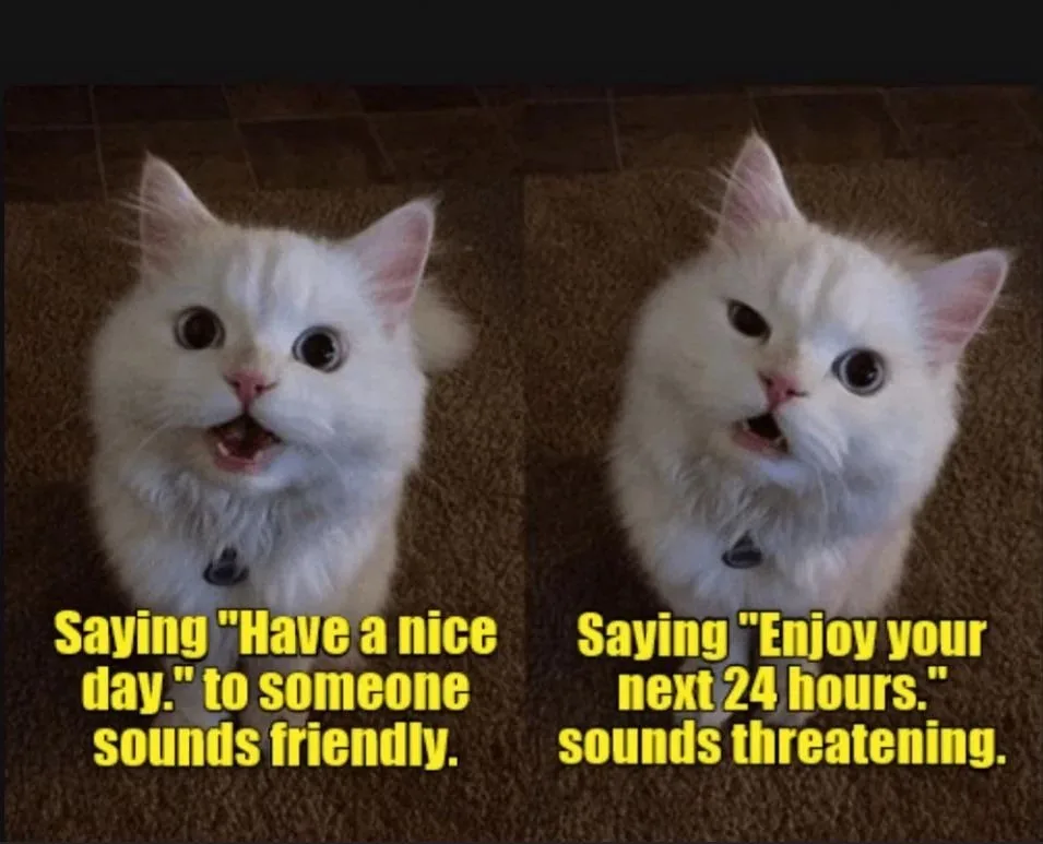 A split image shows a fluffy white cat with wide, surprised eyes in both panels, sitting on a brown carpet. The left panel…