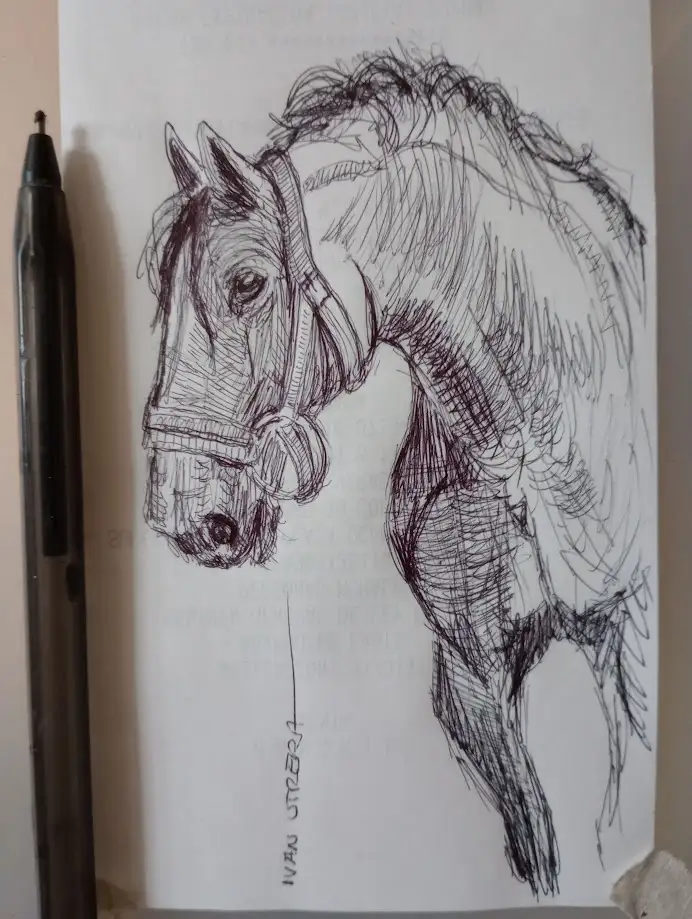 A black-and-white sketch of a horse's head and neck, drawn with a pen on paper, with a black pen resting beside it. The…