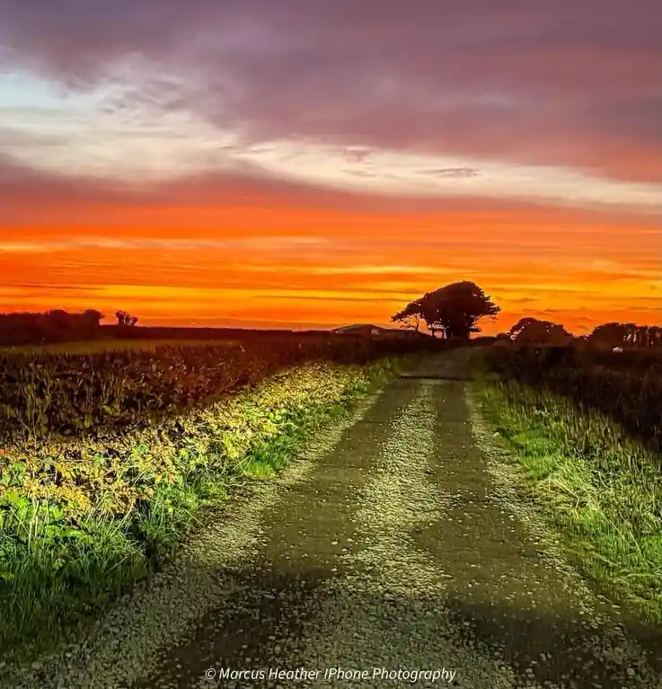 Chasing the Perfect Sunset