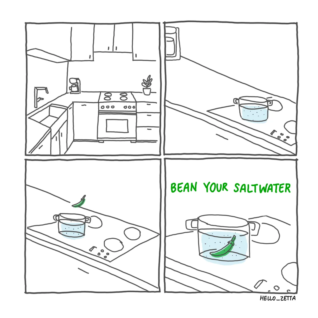 A four-panel comic shows a kitchen, then a pot of saltwater on a stove, then a green bean falling into the pot, and finally…