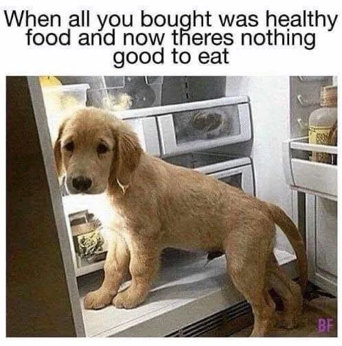 A golden retriever puppy stands inside an open refrigerator, looking sad and dejected. The fridge contains only a few…