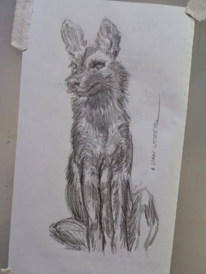 A pencil sketch of a sitting fox with a smug, self-satisfied expression, drawn on paper with faint background text. The text…
