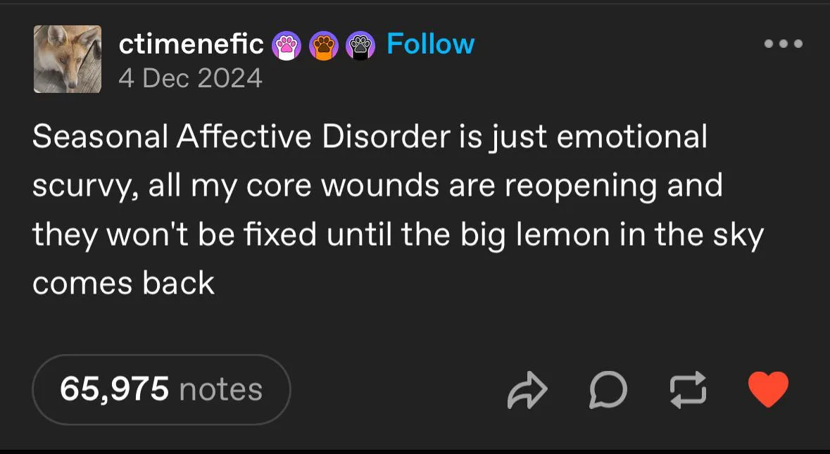 A screenshot of a Tumblr post by user 'ctimenefic' dated 4 Dec 2024, featuring a dark background with white text. The text…