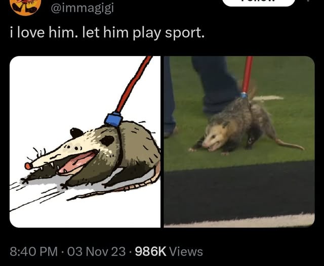 The image is a split-screen meme. On the left, a cartoon drawing of an opossum wearing a blue harness and running on a red…