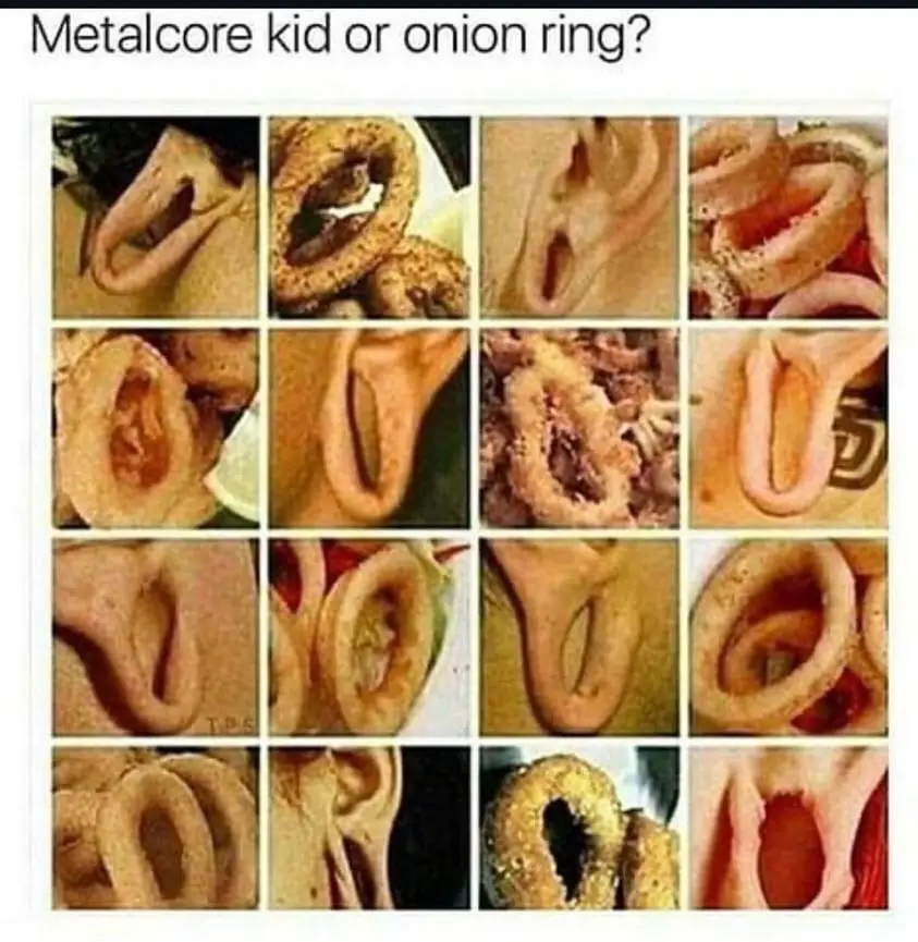 A 4x4 grid of images showing close-ups of human ears and fried onion rings, with the text 'Metalcore kid or onion ring?' at…