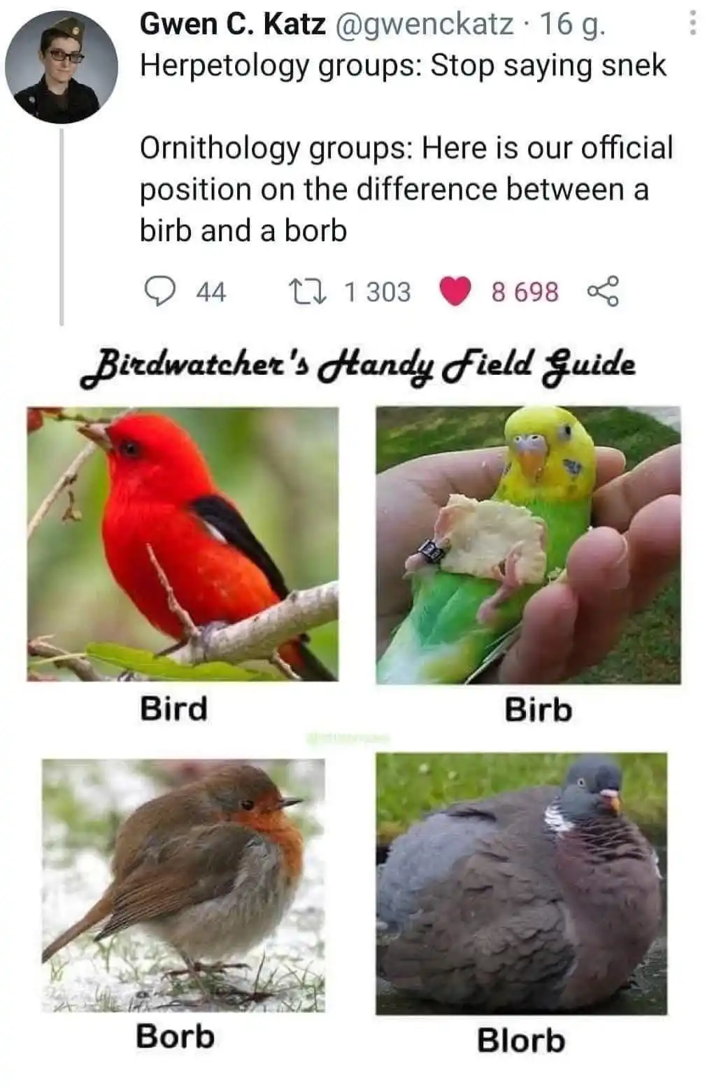 A four-panel image titled 'Birdwatcher's Handy Field Guide' compares birds using internet slang. The top-left panel shows a…