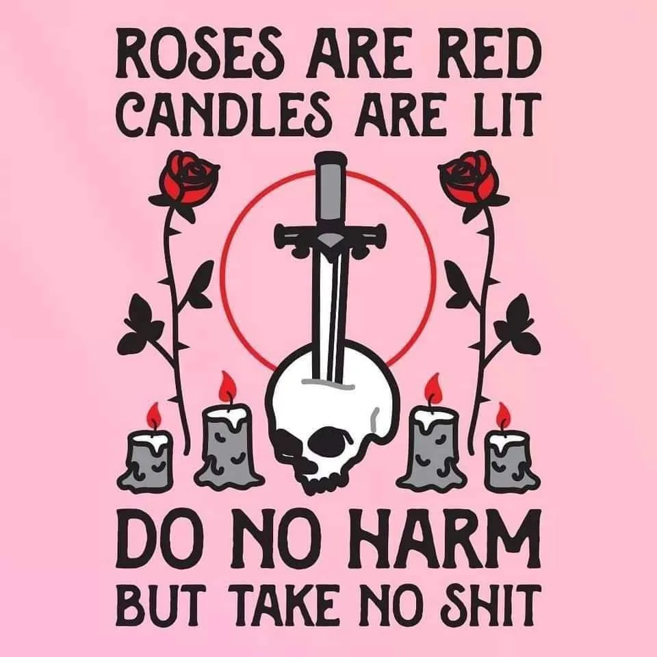A pink background features the text 'ROSES ARE RED CANDLES ARE LIT' at the top and 'DO NO HARM BUT TAKE NO SHIT' at the…