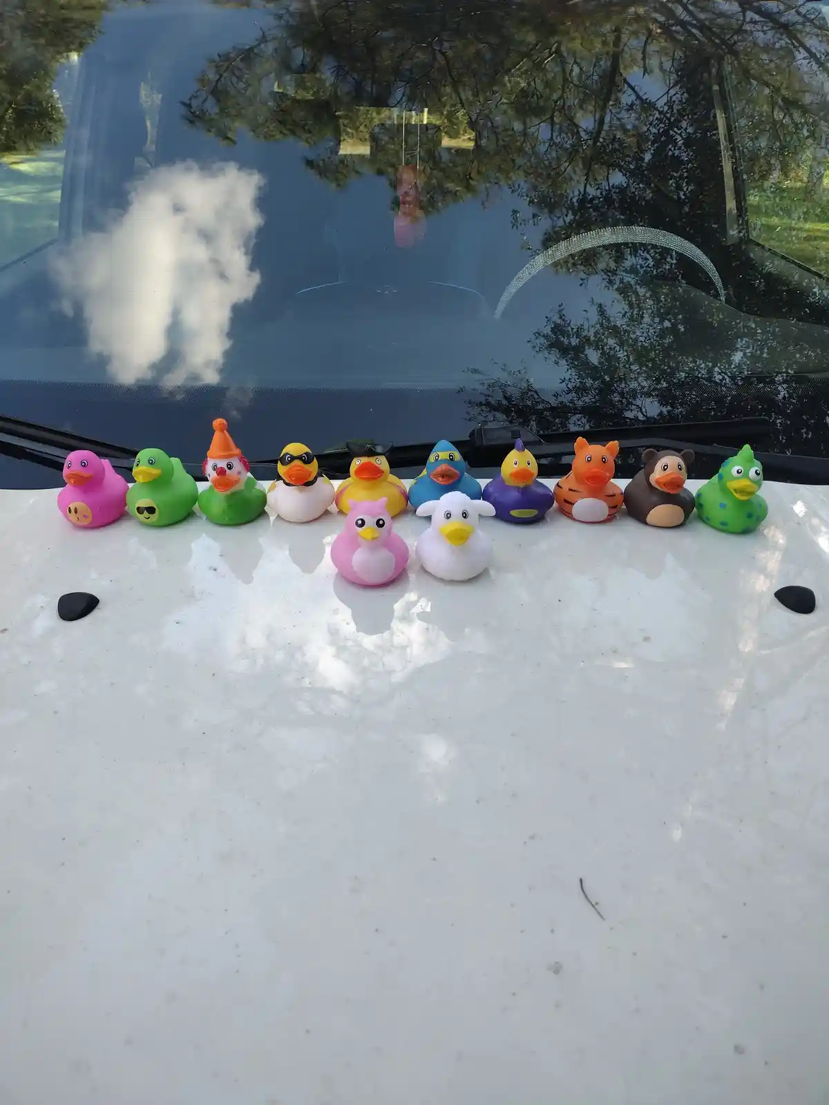 A row of colorful, varied rubber duckies with accessories like hats and sunglasses are lined up on the hood of a white car…