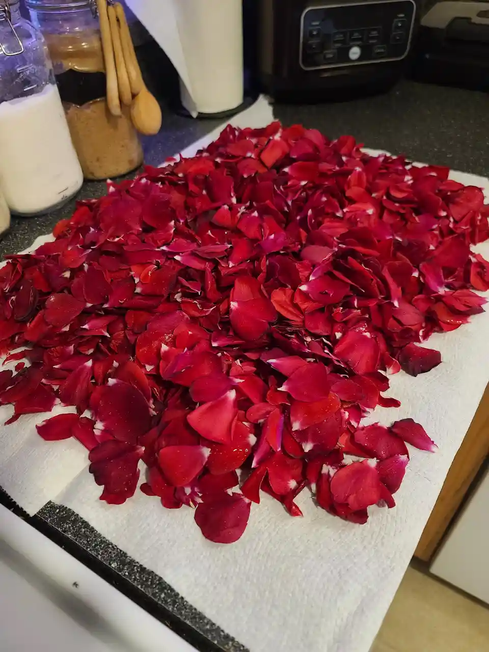 A large pile of vibrant red rose petals, some with white tips, is spread across a white paper towel on a kitchen countertop…