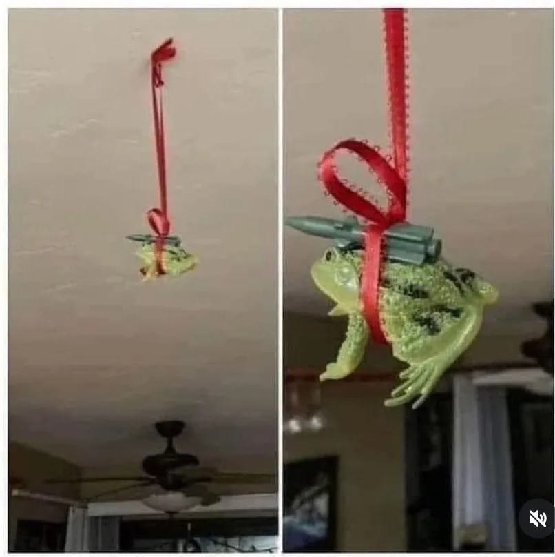 a split image shows a small green plastic frog ornament hanging from a red ribbon on a ceiling. The left panel shows the…