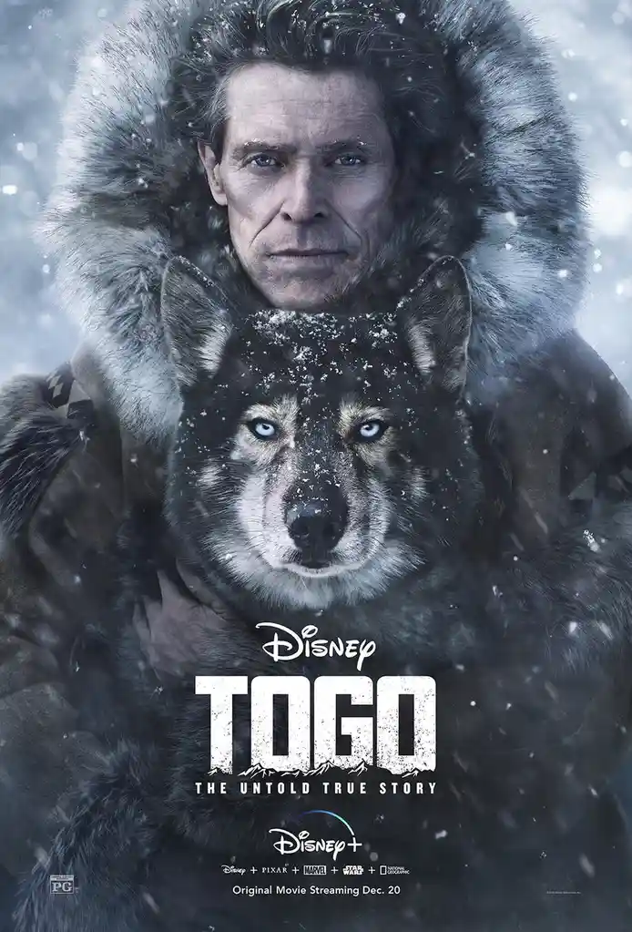 A promotional poster for the Disney+ movie 'Togo' shows actor Willem Dafoe in a heavy fur-lined winter coat, holding a large…