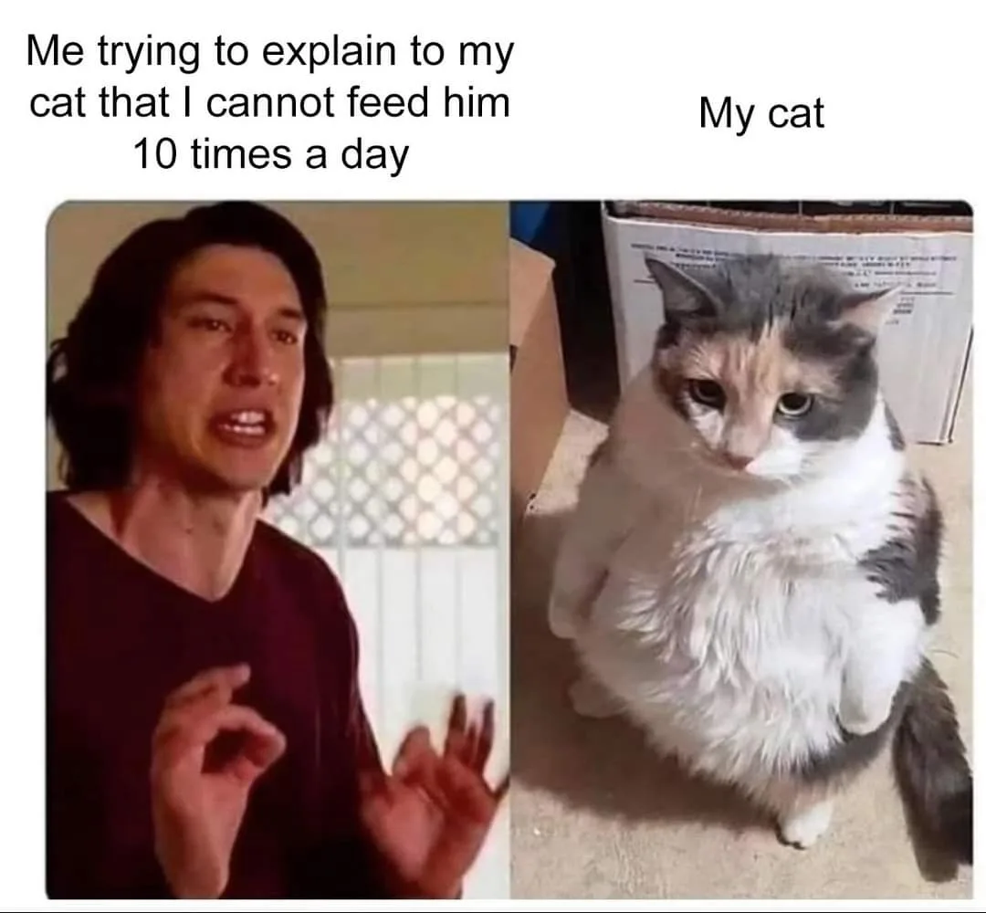 The image is split into two panels. The left panel shows actor Adam Driver with a frustrated, pleading expression, gesturing…