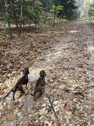 Embracing the Beauty of Fall