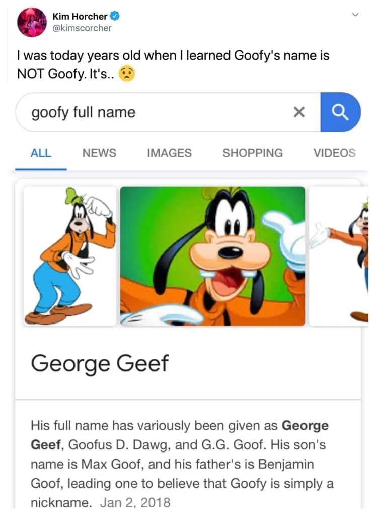 A screenshot of a Twitter post by Kim Horcher showing a Google search for 'goofy full name'. The search result displays a…