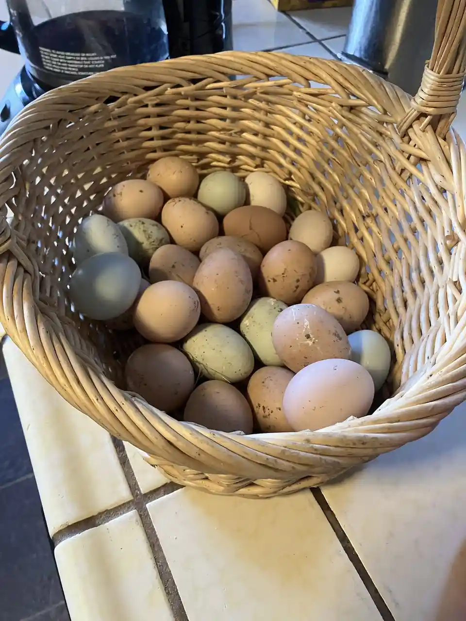 A wicker basket filled with dozens of farm-fresh eggs of various colors including brown, green, and blue, sitting on a tiled…