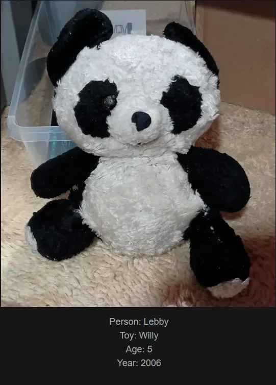 A worn, fluffy stuffed panda bear sits on a beige carpet, with a clear plastic storage bin behind it. Text overlaid at the…