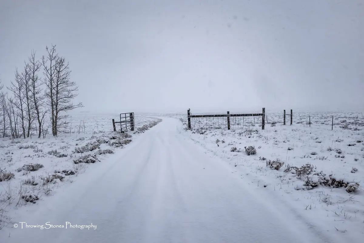 A snowy rural road with tire tracks leads toward a gate in a fence, under a gray, snow-falling sky. Bare trees stand on the…
