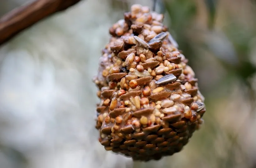A close-up photo of a hanging bird feeder made of various seeds and nuts, including sunflower seeds, suspended from a…
