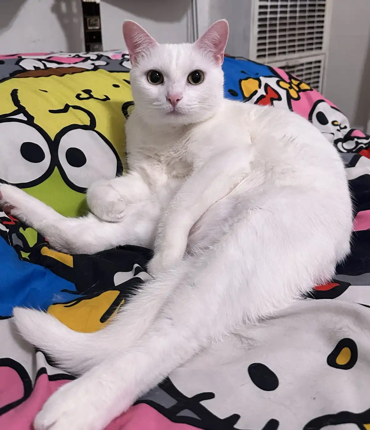 This is my signature sitting style. Got a problem with it?