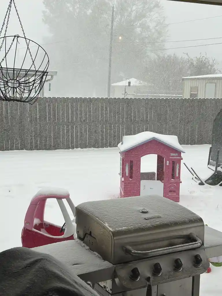 A snowy backyard scene viewed from inside a house, showing a snow-covered stainless steel grill in the foreground, a pink…