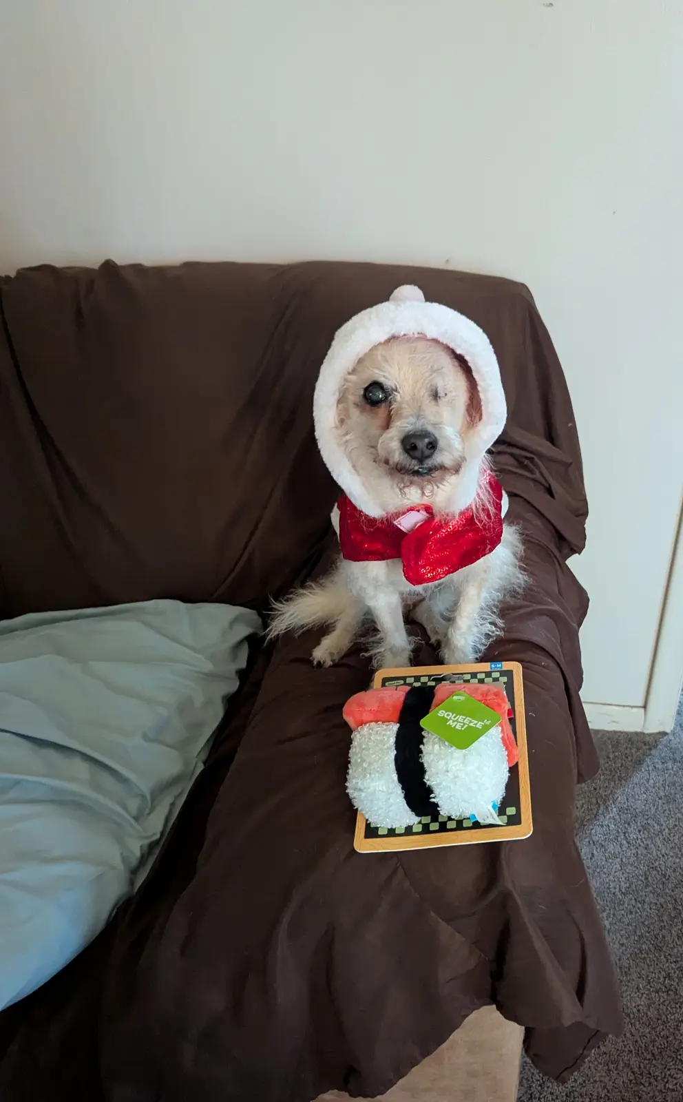 Warm Wishes for a Merry Holiday Season