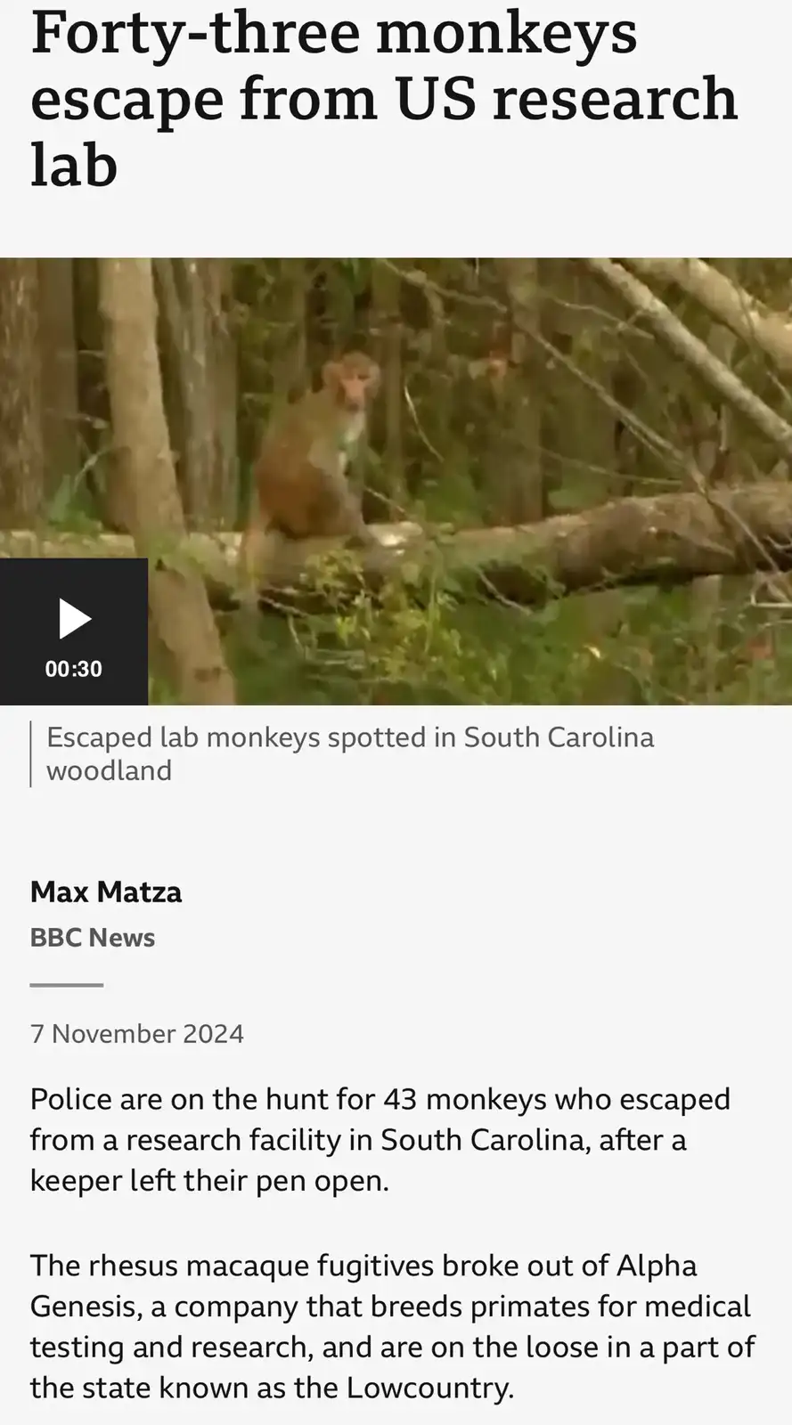 A screenshot of a BBC News article dated November 7, 2024, about 43 escaped monkeys in South Carolina. The article features…
