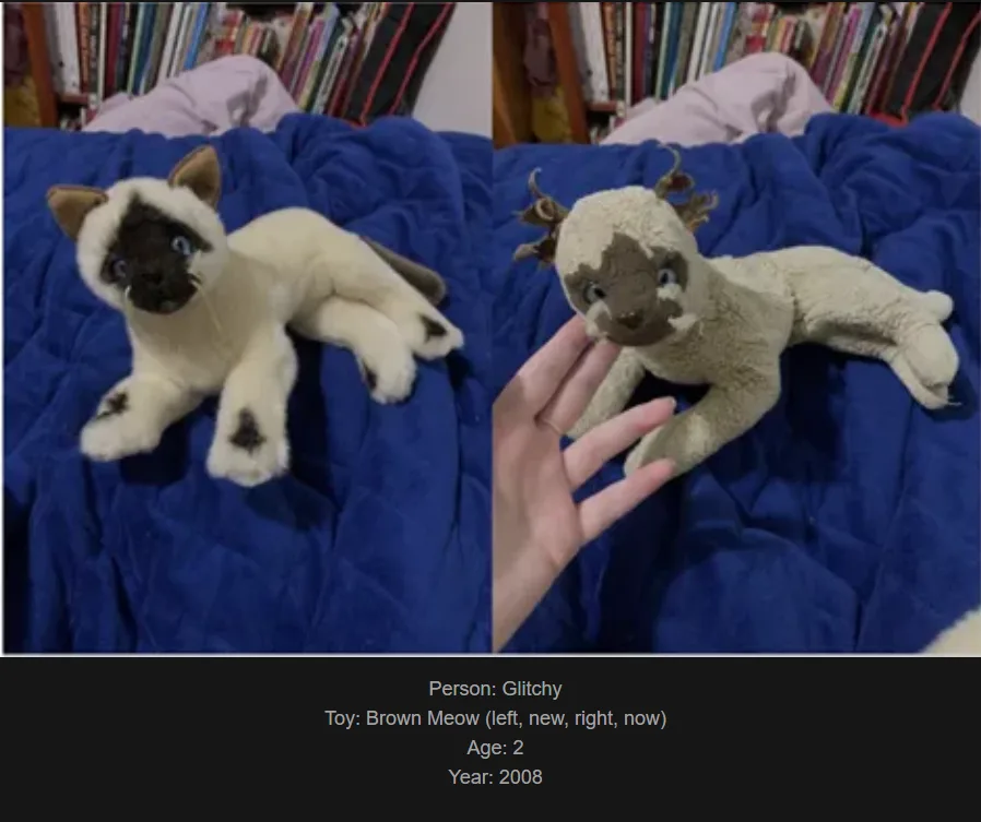 The image shows a split-screen of a plush toy cat, labeled 'Brown Meow,' appearing identical in both panels. The left panel…