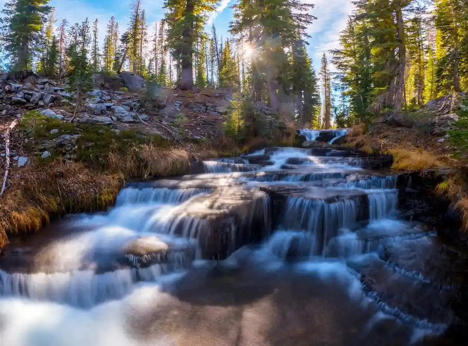 A serene, long-exposure photograph of a cascading mountain stream flowing over dark, layered rocks through a forest of tall…