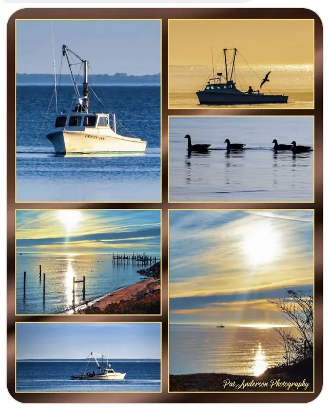 A collage of six scenic coastal photographs showing boats on water, ducks swimming, and sunsets over docks and open sea…