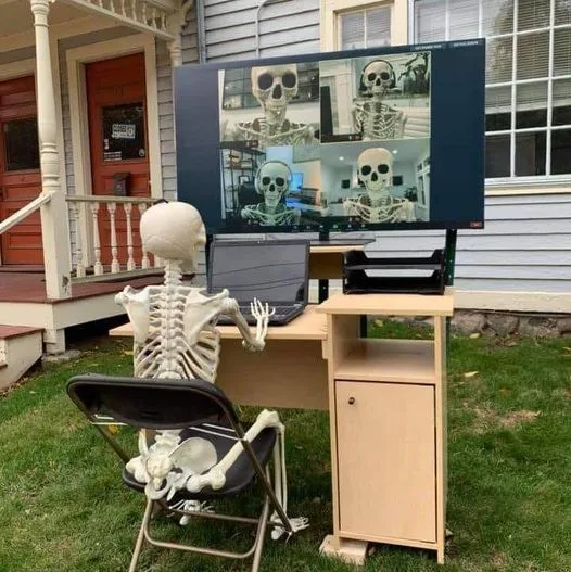 A plastic skeleton sits at a desk outdoors in a grassy yard, using a laptop to participate in a video call displayed on a…