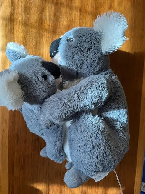 Two grey plush koala stuffed animals are hugging on a wooden surface. The larger koala is holding the smaller one in a…