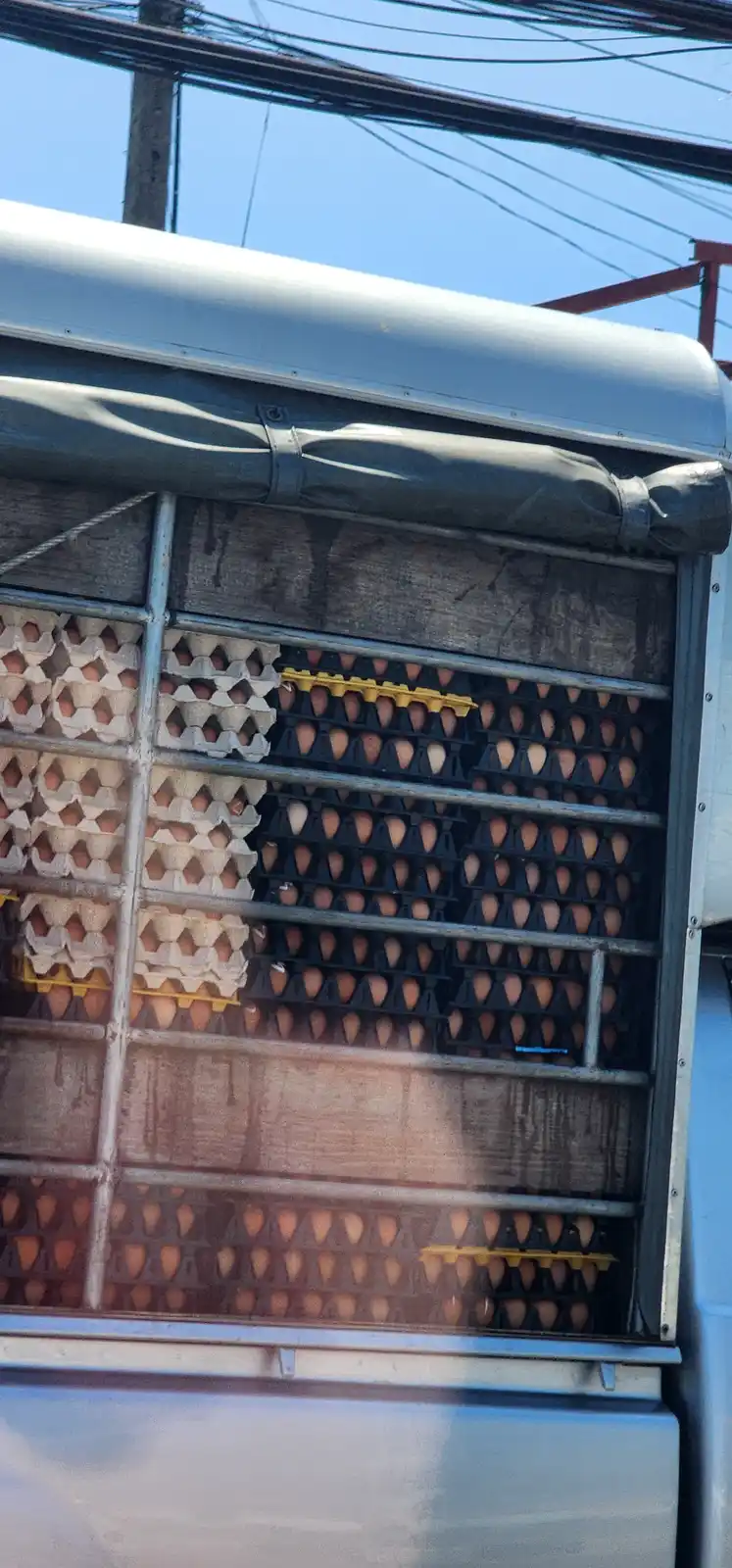 A close-up photo shows the back of a delivery truck filled with multiple rows of egg cartons, some cardboard and some…